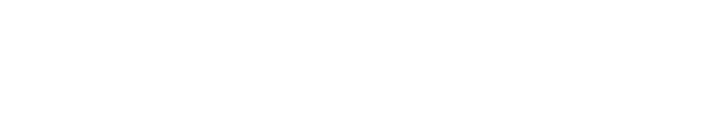 brands wt 5