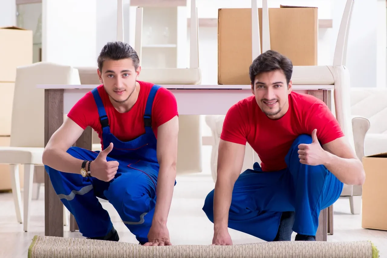 שני מובילים במדים גוללים שטיח בין שולחן, כיסאות וארגזים